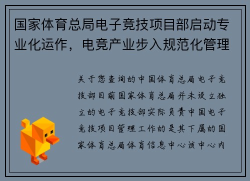 国家体育总局电子竞技项目部启动专业化运作，电竞产业步入规范化管理新阶段